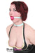 7274A      Retro Kitten Collar - LAST CHANCE - Final Closeout! MEGA Deal   , Sub-Shop.com Bondage and Fetish Superstore