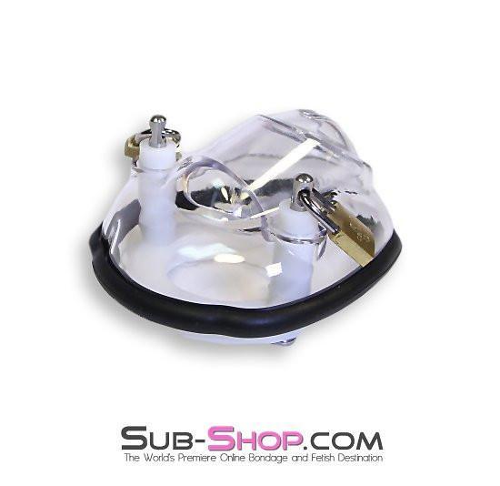 7320AR      Balls & All Clear View Locking Cock & Ball Chastity Cup Set - MEGA Deal Black Friday Blowout   , Sub-Shop.com Bondage and Fetish Superstore
