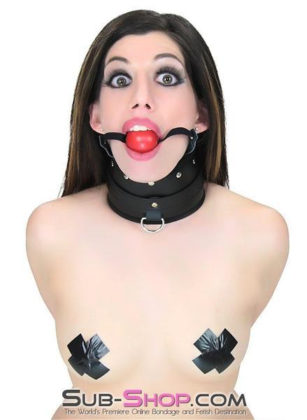7336DL      Posture Collar and Ball Gag Combo with Leash Set Collar   , Sub-Shop.com Bondage and Fetish Superstore