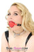 3638BD      Forever My Love, Steel Ownership Collar - MEGA Deal Black Friday Blowout   , Sub-Shop.com Bondage and Fetish Superstore