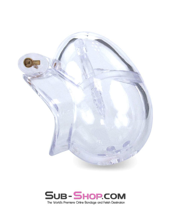 0740M      Small Egg Cock and Balls Chastity Cage with Spiked Anti Pull Off Ball Torture Ring Chastity   , Sub-Shop.com Bondage and Fetish Superstore