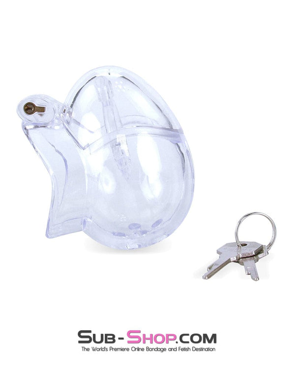 0741M      Medium Egg Cock and Balls Chastity Cage with Spiked Anti Pull Off Ball Torture Ring Chastity   , Sub-Shop.com Bondage and Fetish Superstore