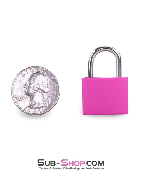 0777AE      Pretty in Pink Mini Pink Padlock - LAST CHANCE - Final Closeout! MEGA Deal   , Sub-Shop.com Bondage and Fetish Superstore