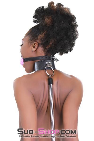 3846RS      Medium Pink Silicone Breather Ball Gag on Locking Black Strap Ballgag   , Sub-Shop.com Bondage and Fetish Superstore