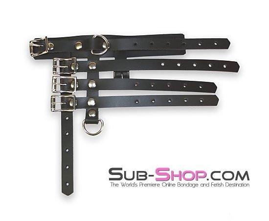 0785A      Buckling Gates of Hell Cock Cage with Lead Ring Cock Cage   , Sub-Shop.com Bondage and Fetish Superstore