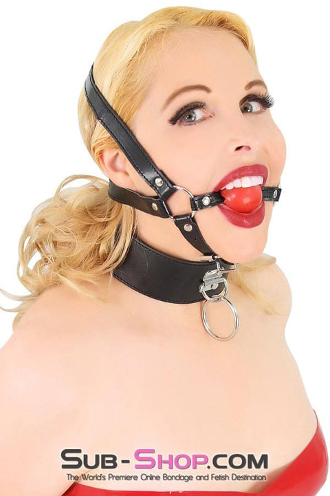 7864DL      Over the Top Ball Gag Trainer, Red Ball Gags   , Sub-Shop.com Bondage and Fetish Superstore