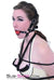 7864DL      Over the Top Ball Gag Trainer, Red Ball Gags   , Sub-Shop.com Bondage and Fetish Superstore