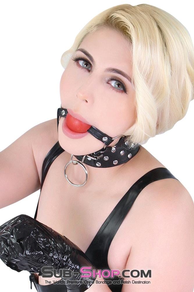 4762MQ      Absolutely Riveting Bondage Collar with Leash Set - LAST CHANCE - Final Closeout! MEGA Deal   , Sub-Shop.com Bondage and Fetish Superstore