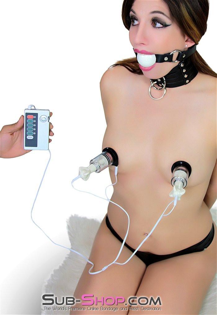 6919R      Sub-Shock Electro-Stimulation Power Box Electro-Stim   , Sub-Shop.com Bondage and Fetish Superstore