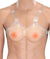 7926R      The Perfect Pair Lifelike Real Feel Breast Forms, B Cup Size - MEGA Deal MEGA Deal   , Sub-Shop.com Bondage and Fetish Superstore