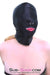 0810M      Zipper Mouth Soft Spandex Hood with Grometted Nose Holes Hoods   , Sub-Shop.com Bondage and Fetish Superstore