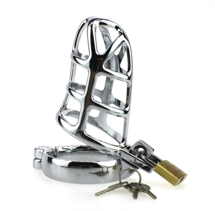 8707HS      Cock Tease Locking Steel Male Chastity Set - MEGA Deal MEGA Deal   , Sub-Shop.com Bondage and Fetish Superstore