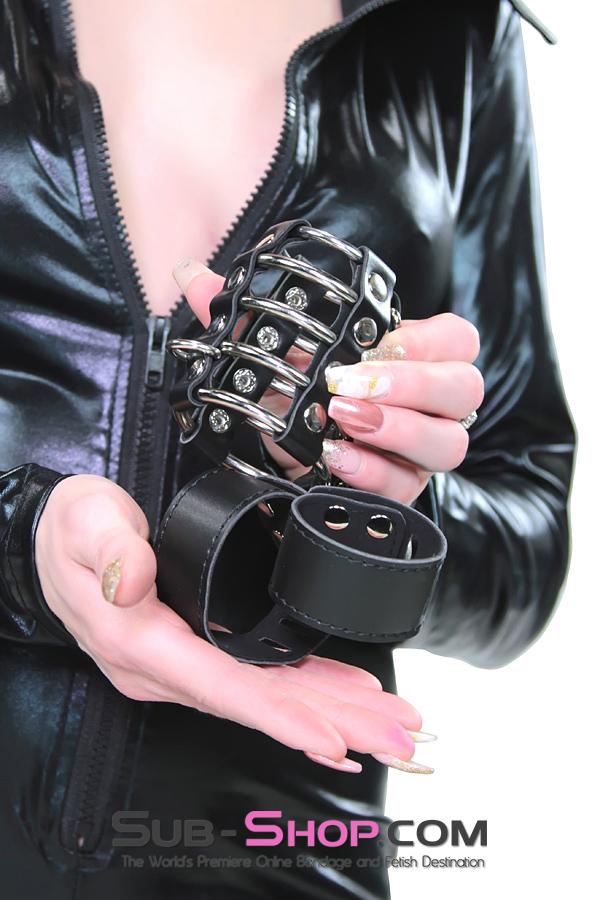 8726HS      Access Denied Locking Chastity Set, Large Cock Cage   , Sub-Shop.com Bondage and Fetish Superstore