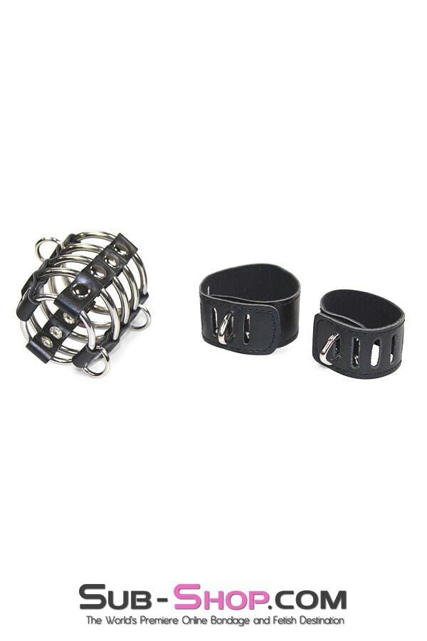 8726HS      Access Denied Locking Chastity Set, Large Cock Cage   , Sub-Shop.com Bondage and Fetish Superstore