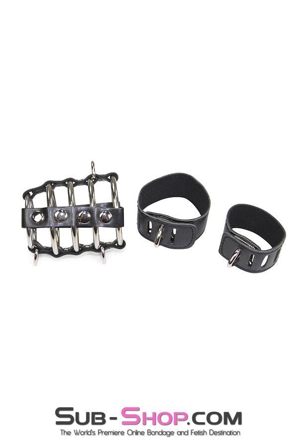 8726HS      Access Denied Locking Chastity Set, Large Cock Cage   , Sub-Shop.com Bondage and Fetish Superstore