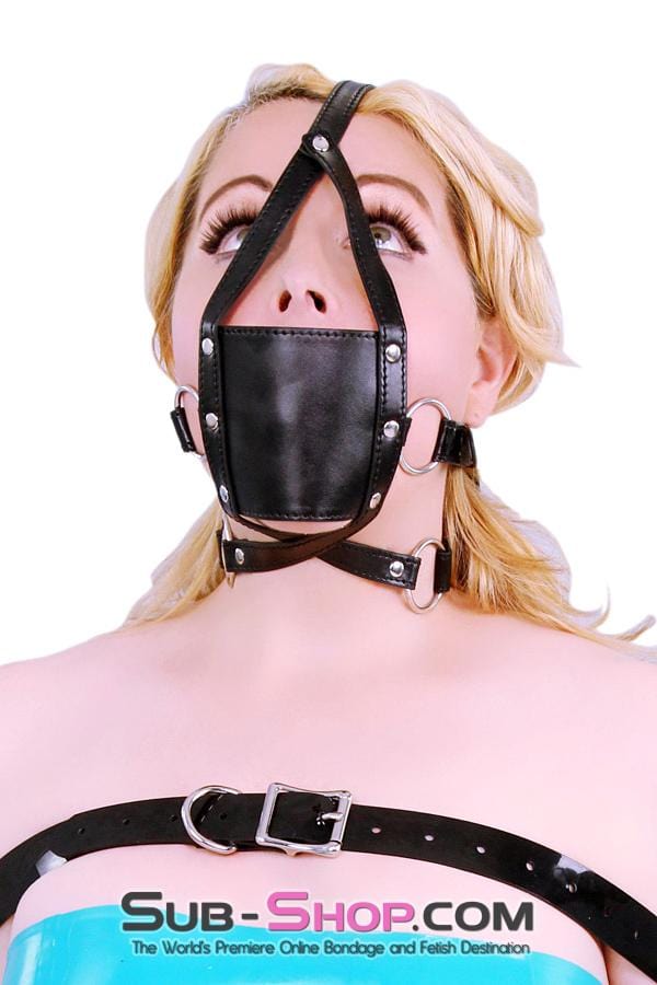 8830HS      Wrap Around Panel Ball Gag Trainer Gags   , Sub-Shop.com Bondage and Fetish Superstore