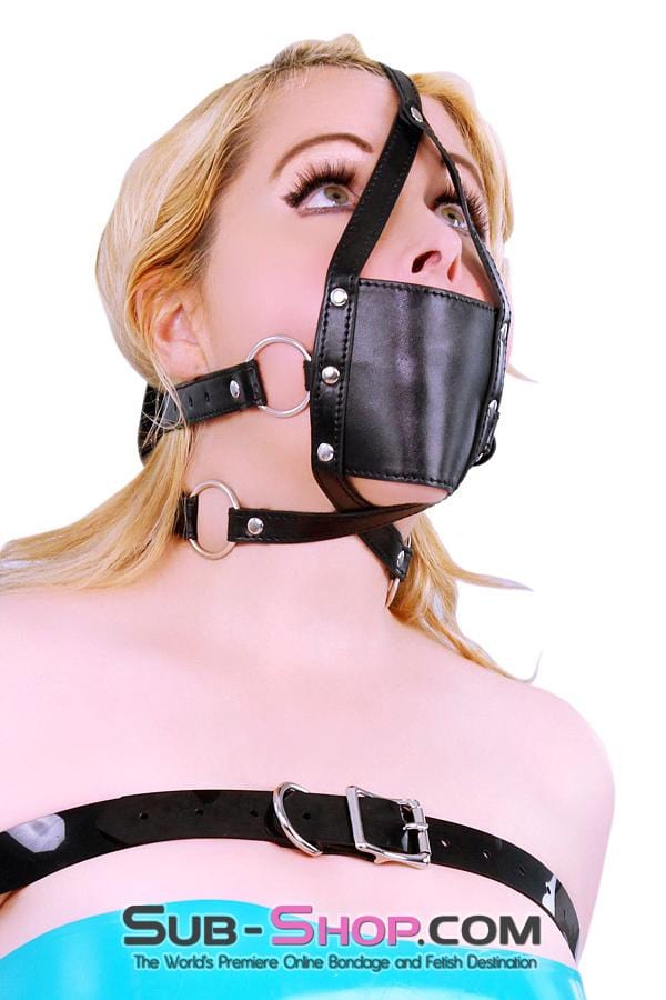 8830HS      Wrap Around Panel Ball Gag Trainer Gags   , Sub-Shop.com Bondage and Fetish Superstore