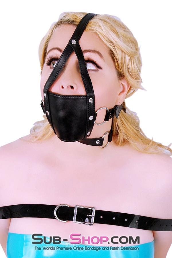 8830HS      Wrap Around Panel Ball Gag Trainer Gags   , Sub-Shop.com Bondage and Fetish Superstore