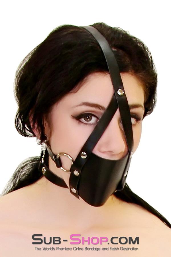 8830HS      Wrap Around Panel Ball Gag Trainer Gags   , Sub-Shop.com Bondage and Fetish Superstore