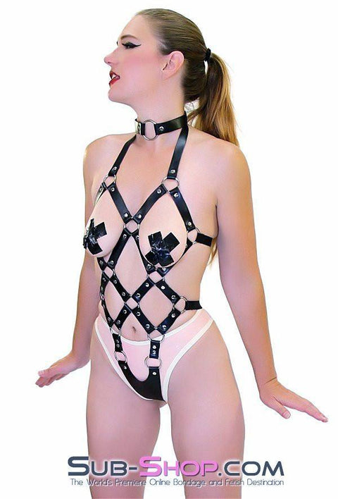 8864HS    Frame Up Strappy Fetish Body Harness Body Harness   , Sub-Shop.com Bondage and Fetish Superstore