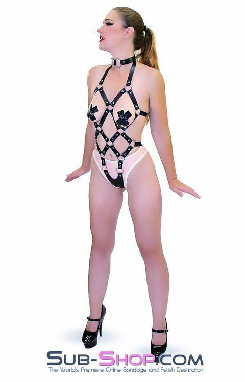 8864HS    Frame Up Strappy Fetish Body Harness Body Harness   , Sub-Shop.com Bondage and Fetish Superstore