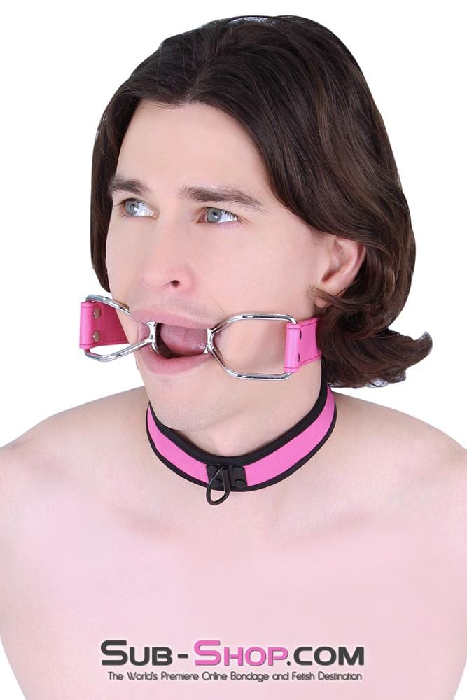 8912MQ      Open Wide My Pretty Hot Pink Open Mouth Ring Gag Gags   , Sub-Shop.com Bondage and Fetish Superstore