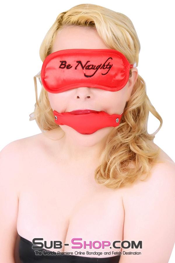 8922DL Be Naughty Satin Love Mask Blindfold , Sub-Shop.com Bondage and Fetish Superstore