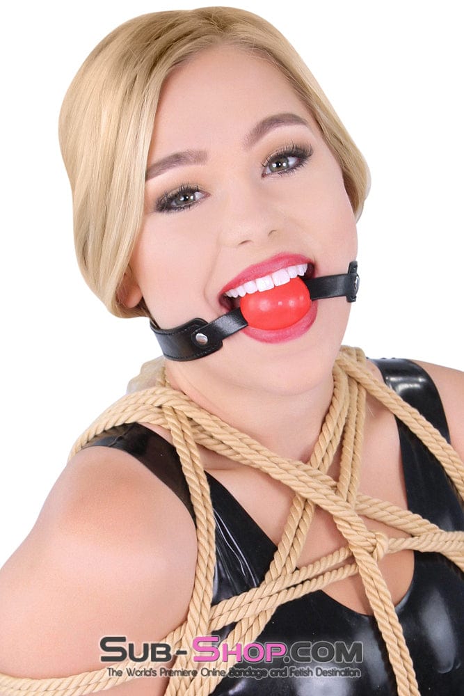 8947DL      <b>BOGO!</b> Bondage Basics Beginner’s Red Rubber Ball Gag Ballgag   , Sub-Shop.com Bondage and Fetish Superstore