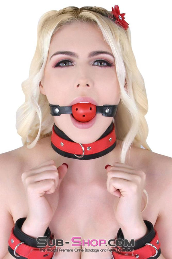 8951MQ      Red Breather Drool Ball Gag on Riveted Black Strap Gags   , Sub-Shop.com Bondage and Fetish Superstore