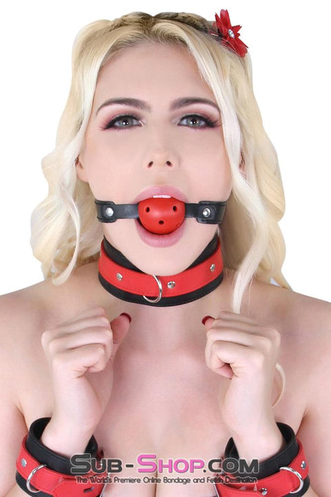 8951MQ      Red Breather Drool Ball Gag on Riveted Black Strap Gags   , Sub-Shop.com Bondage and Fetish Superstore
