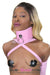 8976DL-SIS      Pink Sissy Pet Posture Collar with Leash Set Sissy   , Sub-Shop.com Bondage and Fetish Superstore