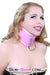 8976DL-SIS      Pink Sissy Pet Posture Collar with Leash Set Sissy   , Sub-Shop.com Bondage and Fetish Superstore