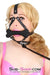 8991DL      Obedience Trainer Puppy Play Bone Gag Trainer - LAST CHANCE - Final Closeout! Black Friday Blowout   , Sub-Shop.com Bondage and Fetish Superstore