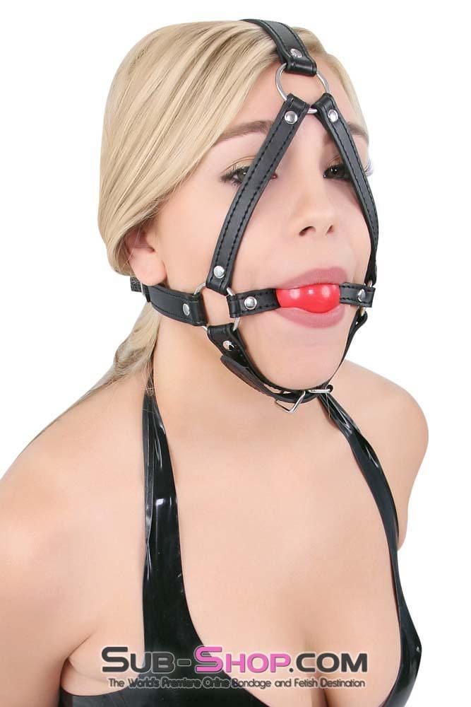 8993DL      Red Rubber Ballgag Bondage Trainer - MEGA Deal Black Friday Blowout   , Sub-Shop.com Bondage and Fetish Superstore