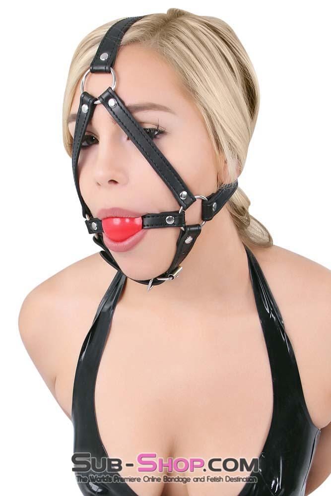 8993DL      Red Rubber Ballgag Bondage Trainer - MEGA Deal Black Friday Blowout   , Sub-Shop.com Bondage and Fetish Superstore