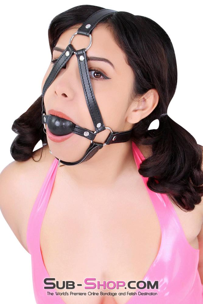 8994DL      Black Rubber Ballgag Bondage Trainer Gags   , Sub-Shop.com Bondage and Fetish Superstore