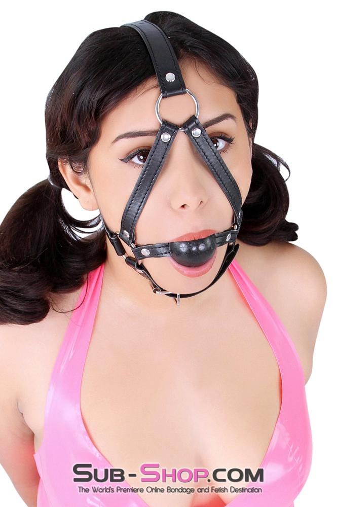 8994DL      Black Rubber Ballgag Bondage Trainer Gags   , Sub-Shop.com Bondage and Fetish Superstore