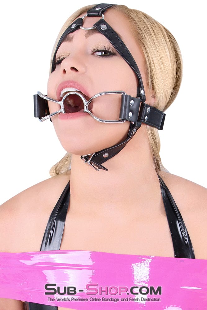8997DL      French Kiss Trainer Open Mouth Ring Gag - MEGA Deal Black Friday Blowout   , Sub-Shop.com Bondage and Fetish Superstore