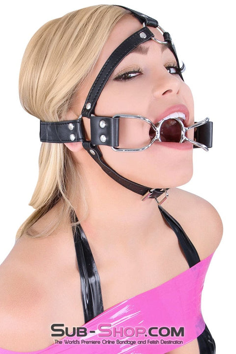 8997DL      French Kiss Trainer Open Mouth Ring Gag - MEGA Deal Black Friday Blowout   , Sub-Shop.com Bondage and Fetish Superstore