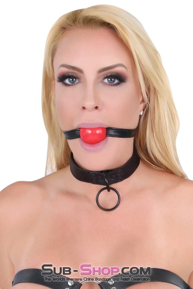 1547DL      Blackline Bondage Slave Collar and Leash Set Collar   , Sub-Shop.com Bondage and Fetish Superstore