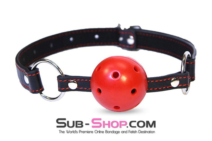 9003DL      I Love This Gag Breather Style Hearts Strap Ball Gag - LAST CHANCE - Final Closeout! Black Friday Blowout   , Sub-Shop.com Bondage and Fetish Superstore