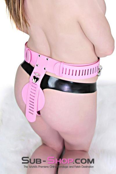 0902RS      Locking Princess Pink Female Chastity Belt - MEGA Deal! Black Friday Blowout   , Sub-Shop.com Bondage and Fetish Superstore