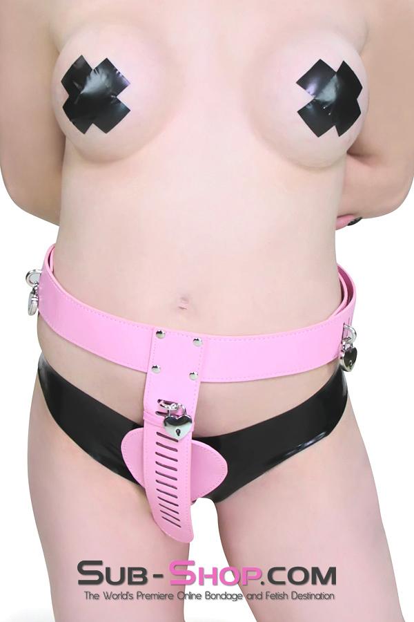 0902RS      Locking Princess Pink Female Chastity Belt Chastity   , Sub-Shop.com Bondage and Fetish Superstore