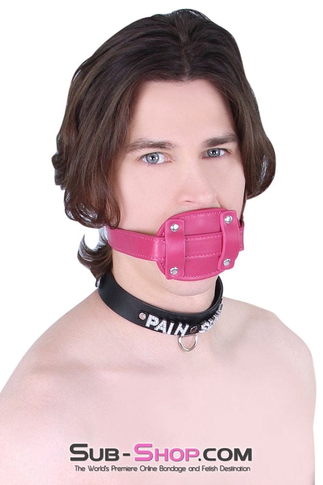 9053DL      Locking Rubber Sex Bomb Pink Penis Gag Gags   , Sub-Shop.com Bondage and Fetish Superstore