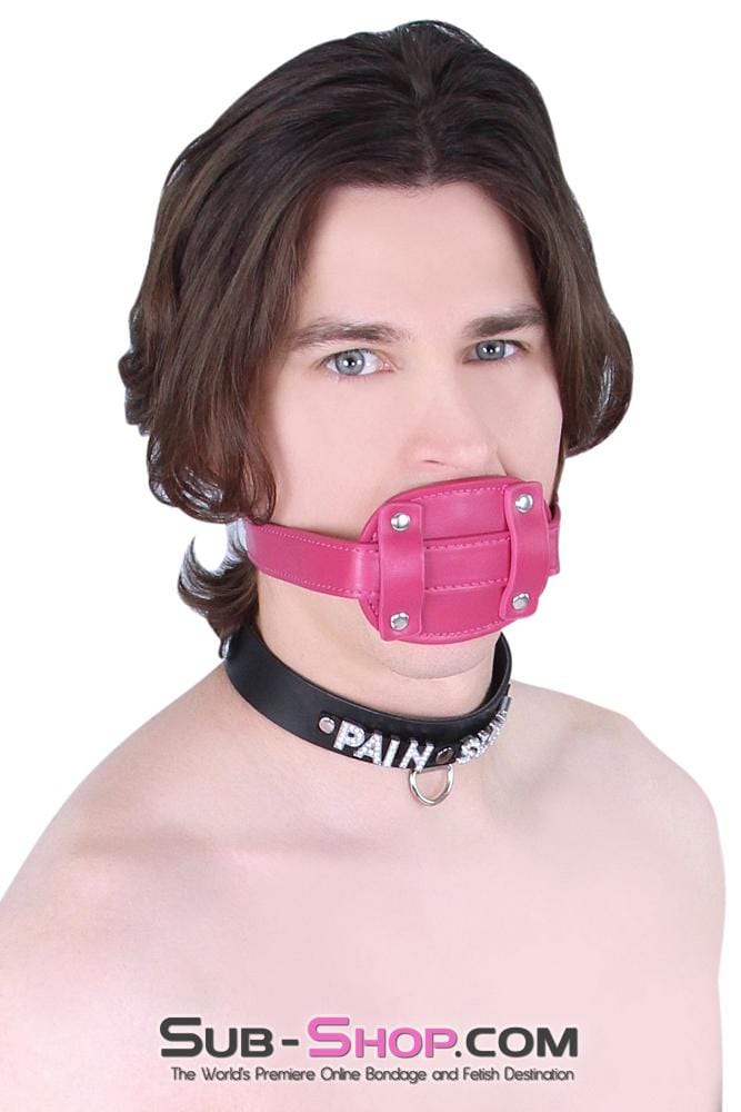 9053DL-SIS      Sissy Slave Bondage Locking Rubber Sex Kinky Mistress Bomb Pink Penis Gag Sissy   , Sub-Shop.com Bondage and Fetish Superstore