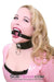 9069DL      Led to the Bed Collar and Leash Set Bondage Set   , Sub-Shop.com Bondage and Fetish Superstore