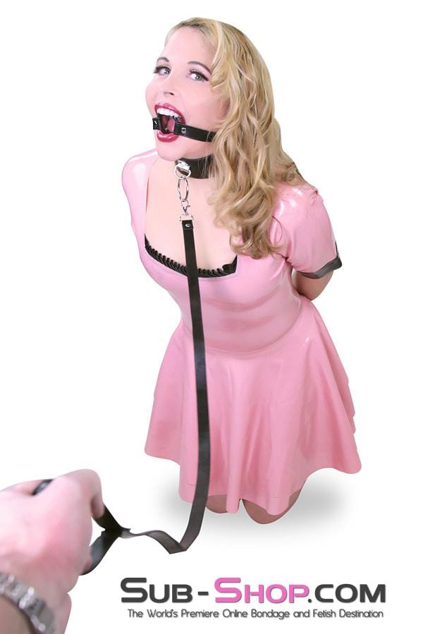 9069DL      Led to the Bed Collar and Leash Set - MEGA Deal Black Friday Blowout   , Sub-Shop.com Bondage and Fetish Superstore