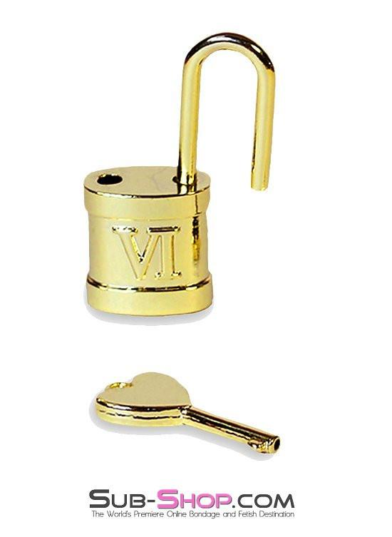9732K      Gold Series Sex Lock Padlock   , Sub-Shop.com Bondage and Fetish Superstore