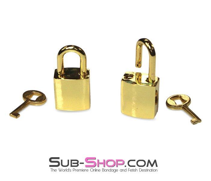 9750A      Gold Series Bondage Gear Padlocks Pair Set Padlock   , Sub-Shop.com Bondage and Fetish Superstore