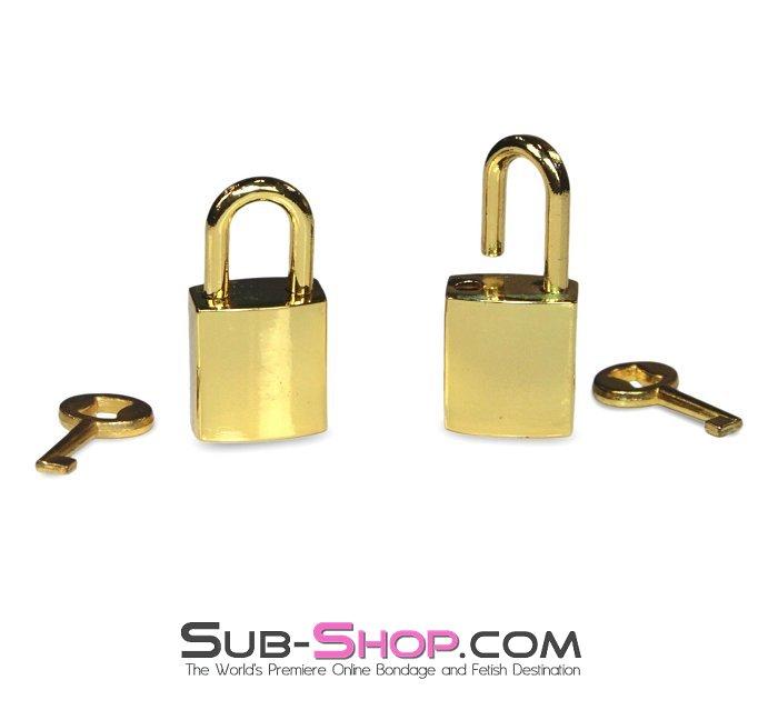 9750A      Gold Series Bondage Gear Padlocks Pair Set Padlock   , Sub-Shop.com Bondage and Fetish Superstore